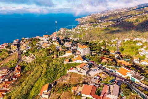 Terra a Ribeira Brava, Madeira, Ribeira Brava - € 230.000 | Ref: SÒL_2 - foto 8