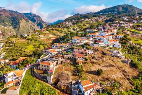 Terra a Ribeira Brava, Madeira, Ribeira Brava - € 230.000 | Ref: SÒL_2 - foto 10