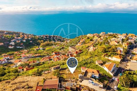 Terra a Ribeira Brava, Madeira, Ribeira Brava - € 230.000 | Ref: SÒL_2 - foto 2