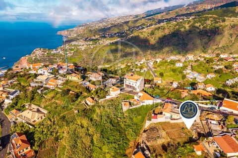 Terra a Ribeira Brava, Madeira, Ribeira Brava - € 230.000 | Ref: SÒL_2 - foto 13