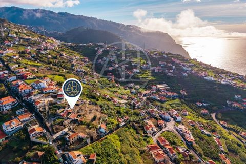 Terra a Ribeira Brava, Madeira, Ribeira Brava - € 230.000 | Ref: SÒL_2 - foto 17