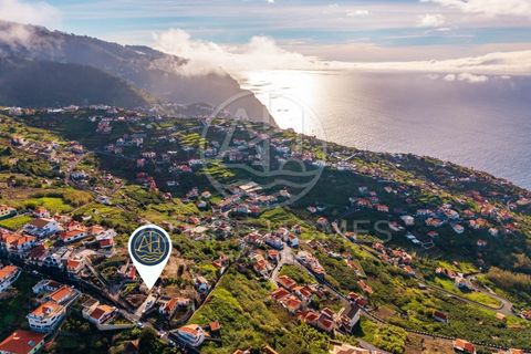 Terra a Ribeira Brava, Madeira, Ribeira Brava - € 230.000 | Ref: SÒL_2 - foto 18