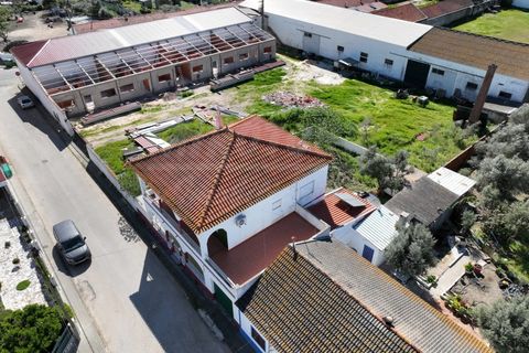 Villa i Ermidas do Sado, Setubal, Ermidas do Sado - € 425.000 | Ref: 2026062 - foto 41