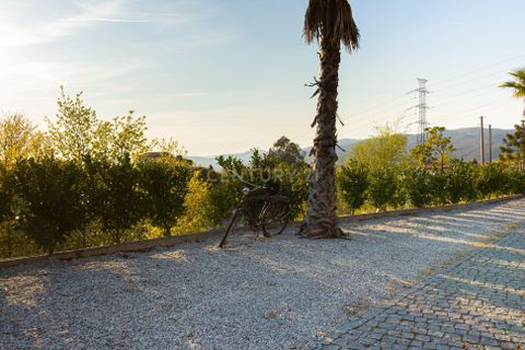Villa a Tabuacas, Braga, Tabuacas - € 349.000 | Ref: C0256-03455 - foto 37