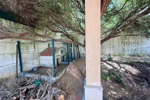 Villa a Azambuja, Lisbon, Azambuja - € 565.000 | Ref: 20260427-5 - foto 3