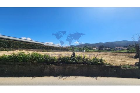 Helårsgrund i Ponte de Lima, Viana do Castelo, Ponte de Lima - € 90.000 | Ref: SÒL_84 - foto 2