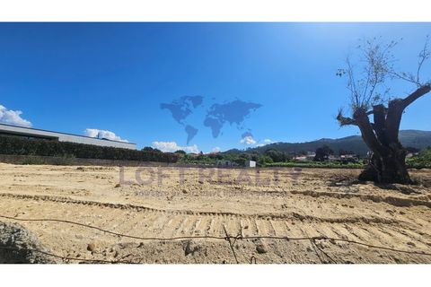 Helårsgrund i Ponte de Lima, Viana do Castelo, Ponte de Lima - € 90.000 | Ref: SÒL_84 - foto 5