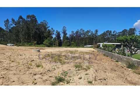 Helårsgrund i Ponte de Lima, Viana do Castelo, Ponte de Lima - € 90.000 | Ref: SÒL_84 - foto 9