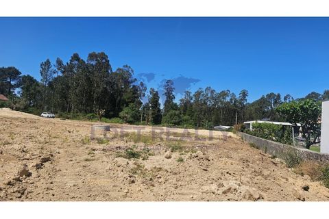 Helårsgrund i Ponte de Lima, Viana do Castelo, Ponte de Lima - € 90.000 | Ref: SÒL_84 - foto 11