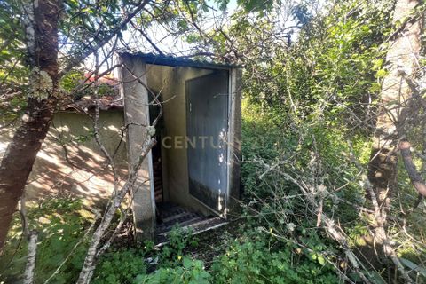Villa i Macao, Santarem, Macao - € 55.000 | Ref: C0222-06996 - foto 19