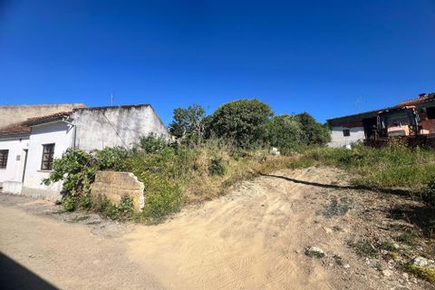 Villa i Macao, Santarem, Macao - € 55.000 | Ref: C0222-06996 - foto 39
