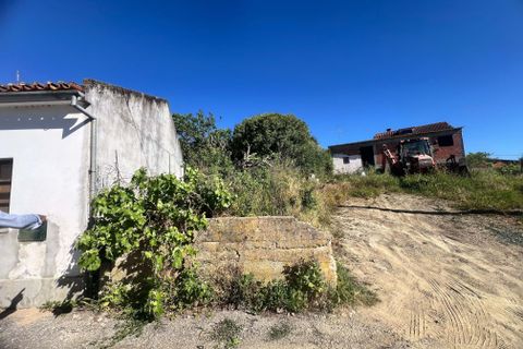 Villa i Macao, Santarem, Macao - € 55.000 | Ref: C0222-06996 - foto 40