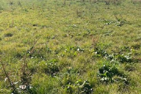 Terra a Jallaucourt, Moselle, Jallaucourt - € 62.000 | Ref: V637 - foto 6