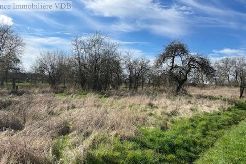 Terra a Arracourt, Meurthe-et-Moselle, Arracourt - € 35.000 | Ref: V667 - foto 5