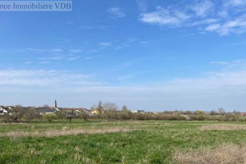 Terra a Haraucourt, Meurthe-et-Moselle, Haraucourt - € 78.000 | Ref: V687 - foto 2