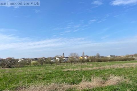 Terra a Haraucourt, Meurthe-et-Moselle, Haraucourt - € 78.000 | Ref: V687 - foto 4