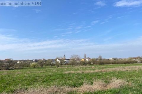Terra a Haraucourt, Meurthe-et-Moselle, Haraucourt - € 78.000 | Ref: V687 - foto 5