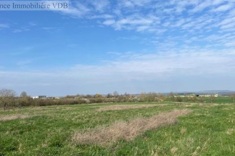 Terra a Haraucourt, Meurthe-et-Moselle, Haraucourt - € 78.000 | Ref: V687 - foto 6