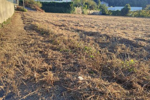 Helårsgrund i Paredes, Porto, Paredes - € 285.000 | Ref: EX03787 - foto 4