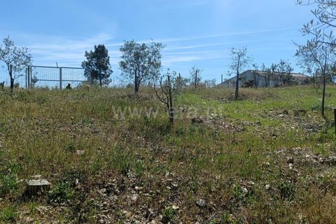 Tomt i Proenca-a-Nova, Castelo Branco, Proenca-a-Nova - € 15 000 | Ref: 102260079 - foto 2