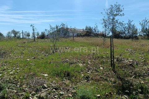 Tomt i Proenca-a-Nova, Castelo Branco, Proenca-a-Nova - € 15 000 | Ref: 102260079 - foto 4