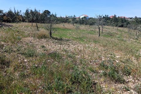 Tomt i Proenca-a-Nova, Castelo Branco, Proenca-a-Nova - € 15 000 | Ref: 102260079 - foto 6