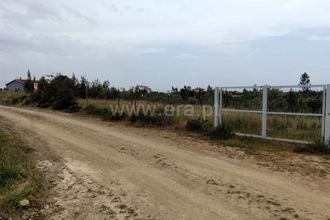 Tomt i Proenca-a-Nova, Castelo Branco, Proenca-a-Nova - € 15 000 | Ref: 102260079 - foto 8