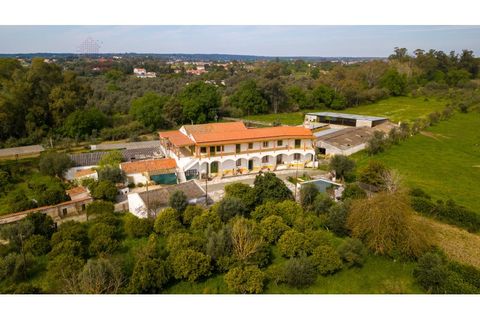 Farm i Canaviais, Evora, Canaviais - € 1.300.000 | Ref: MAS_3235 - foto 2