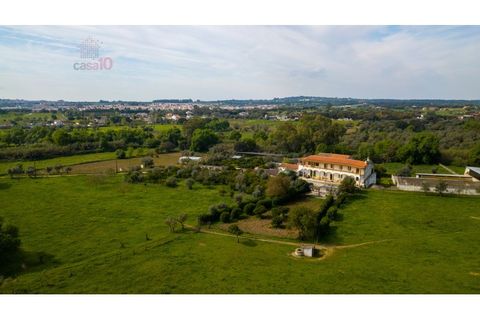 Farm i Canaviais, Evora, Canaviais - € 1.300.000 | Ref: MAS_3235 - foto 3