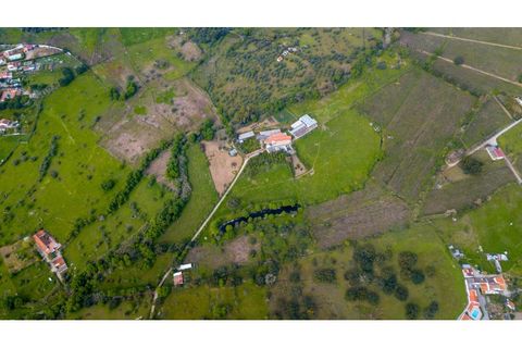 Farm i Canaviais, Evora, Canaviais - € 1.300.000 | Ref: MAS_3235 - foto 4