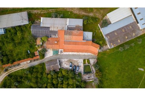 Farm i Canaviais, Evora, Canaviais - € 1.300.000 | Ref: MAS_3235 - foto 6