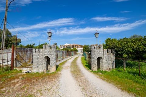 Farm i Canaviais, Evora, Canaviais - € 1.300.000 | Ref: MAS_3235 - foto 7