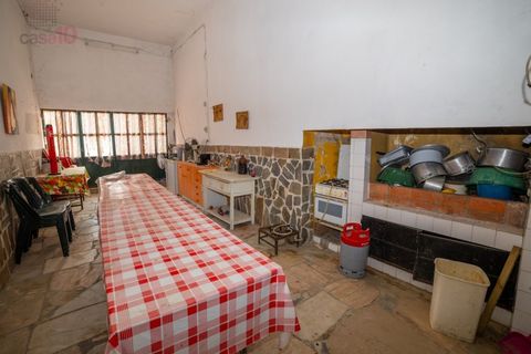 Farm i Canaviais, Evora, Canaviais - € 1.300.000 | Ref: MAS_3235 - foto 11