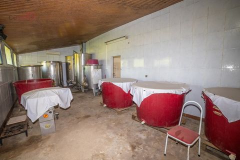 Farm i Canaviais, Evora, Canaviais - € 1.300.000 | Ref: MAS_3235 - foto 29