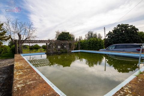 Farm i Canaviais, Evora, Canaviais - € 1.300.000 | Ref: MAS_3235 - foto 30