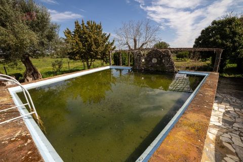 Farm i Canaviais, Evora, Canaviais - € 1.300.000 | Ref: MAS_3235 - foto 31