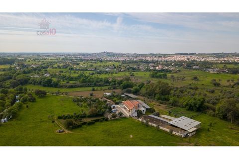 Farm i Canaviais, Evora, Canaviais - € 1.300.000 | Ref: MAS_3235 - foto 32