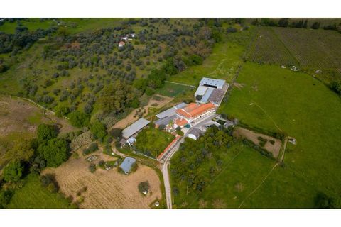Farm i Canaviais, Evora, Canaviais - € 1.300.000 | Ref: MAS_3235 - foto 33