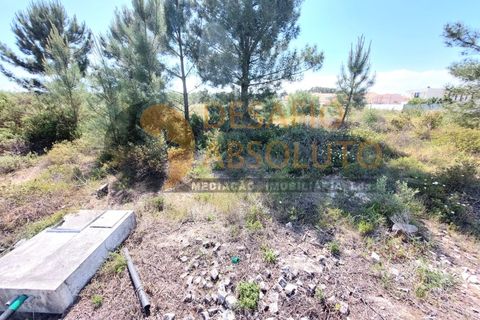 Helårsgrund i Quinta do Conde, Setubal, Quinta do Conde - € 75.000 | Ref: 3496 - foto 5