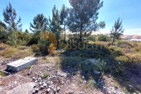 Helårsgrund i Quinta do Conde, Setubal, Quinta do Conde - € 75.000 | Ref: 3496 - foto 3