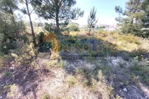 Helårsgrund i Quinta do Conde, Setubal, Quinta do Conde - € 75.000 | Ref: 3496 - foto 1