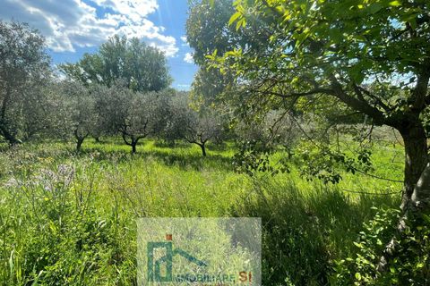 Helårsgrund i Benevento, Benevento, Benevento - € 65.000 | Ref: SI229 - foto 3