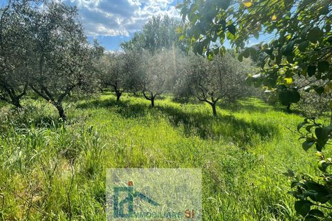 Helårsgrund i Benevento, Benevento, Benevento - € 65.000 | Ref: SI229 - foto 4