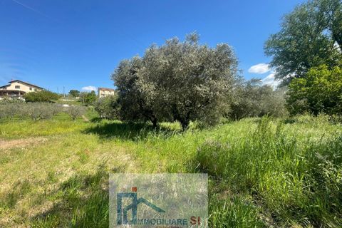 Helårsgrund i Benevento, Benevento, Benevento - € 65.000 | Ref: SI229 - foto 5