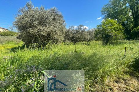 Helårsgrund i Benevento, Benevento, Benevento - € 65.000 | Ref: SI229 - foto 6