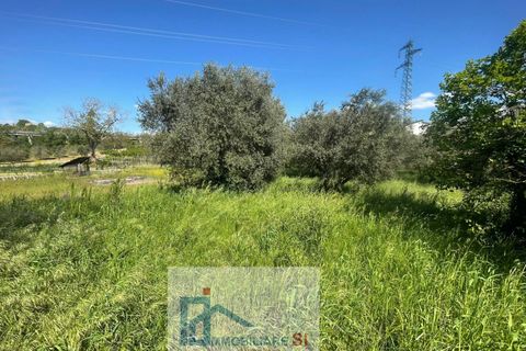 Helårsgrund i Benevento, Benevento, Benevento - € 65.000 | Ref: SI229 - foto 7