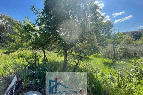 Helårsgrund i Benevento, Benevento, Benevento - € 65.000 | Ref: SI229 - foto 17