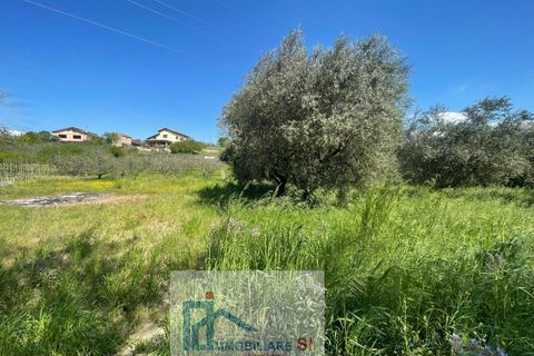 Helårsgrund i Benevento, Benevento, Benevento - € 65.000 | Ref: SI229 - foto 19