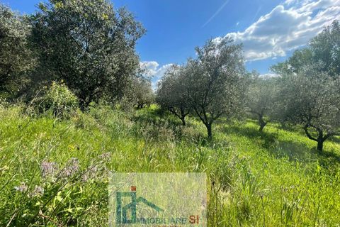 Helårsgrund i Benevento, Benevento, Benevento - € 65.000 | Ref: SI229 - foto 21
