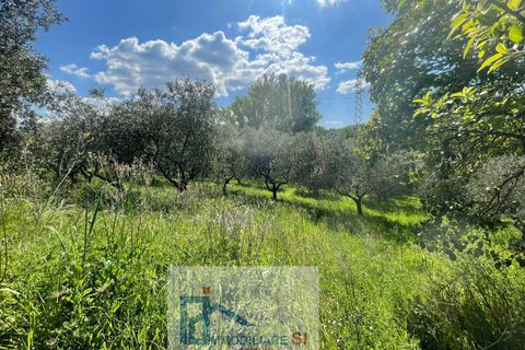Helårsgrund i Benevento, Benevento, Benevento - € 65.000 | Ref: SI229 - foto 23